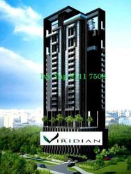 The Viridian (D12), Apartment #106386152